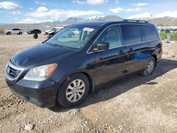 Honda salvage cars for sale: 2008 Honda Odyssey EXL