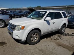 2010 Ford Escape Limited for sale in Louisville, KY