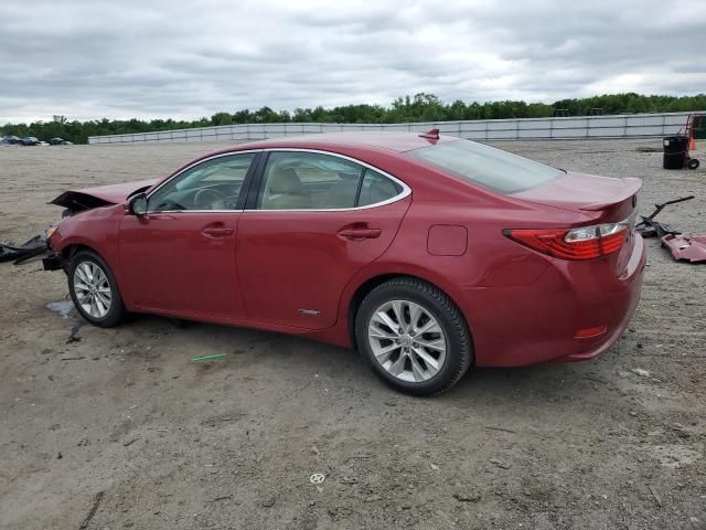 2014 Lexus ES 300H