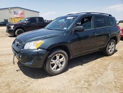 Salvage cars for sale from Copart Amarillo, TX: 2010 Toyota Rav4