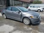 2013 Ford Fusion SE Hybrid