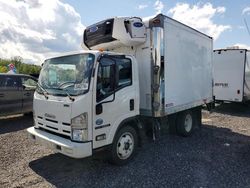 Isuzu NQR salvage cars for sale: 2014 Isuzu NQR