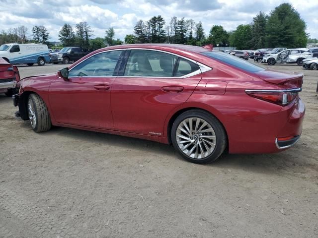 2019 Lexus ES 300H