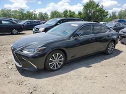 2019 Lexus ES 350 for sale in Baltimore, MD