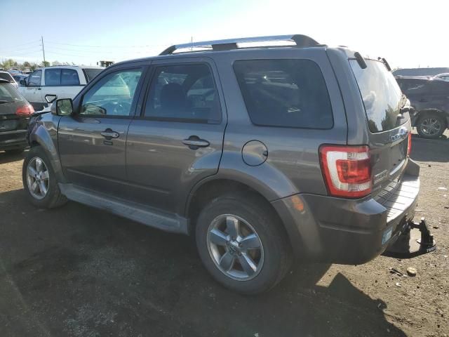 2012 Ford Escape Limited