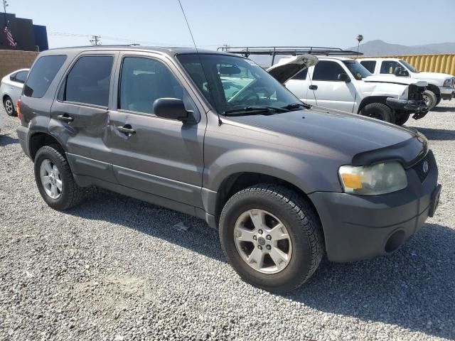 2006 Ford Escape XLT