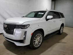 Cadillac salvage cars for sale: 2023 Cadillac Escalade Premium Luxury