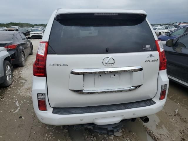 2010 Lexus GX 460