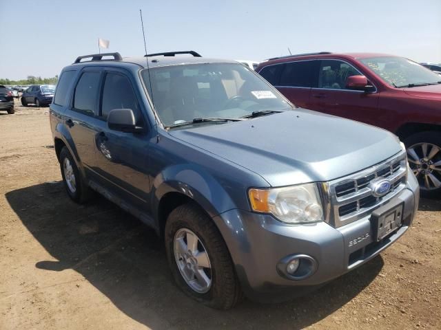 2011 Ford Escape XLT