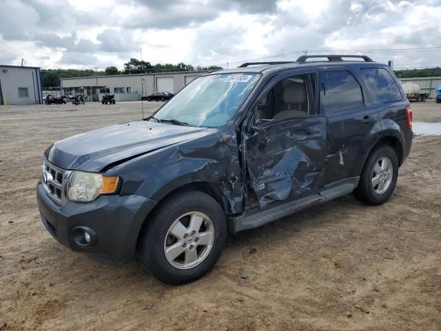 2008 Ford Escape XLT