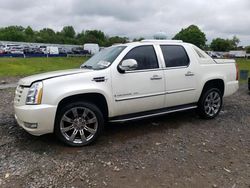 Cadillac salvage cars for sale: 2008 Cadillac Escalade EXT