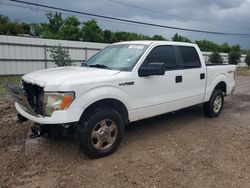 Ford salvage cars for sale: 2012 Ford F150 Supercrew