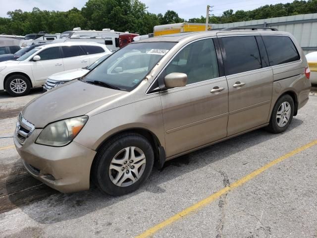 2005 Honda Odyssey EXL