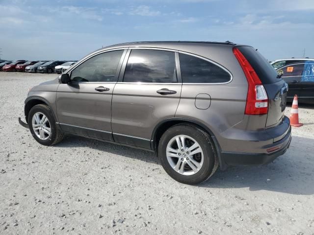 2010 Honda CR-V EXL