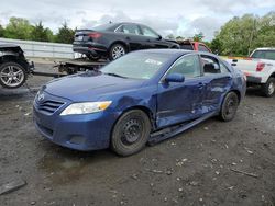 Toyota Camry salvage cars for sale: 2010 Toyota Camry Base