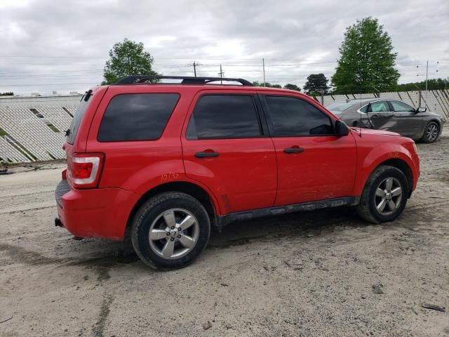 2009 Ford Escape XLT