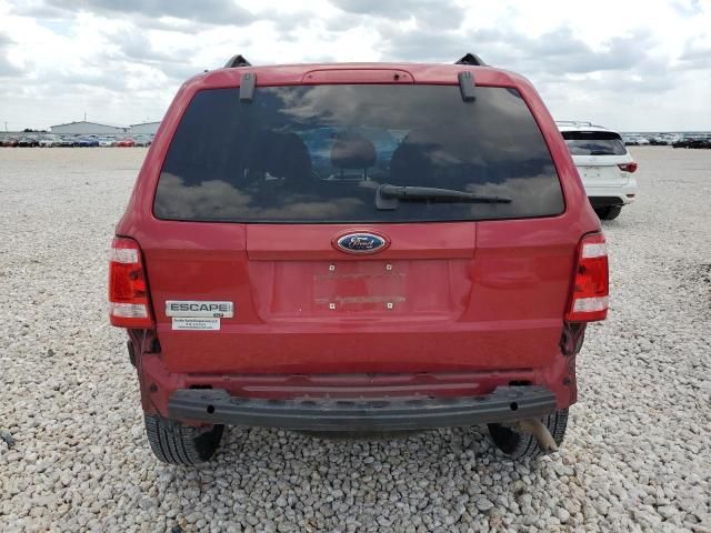 2008 Ford Escape XLT