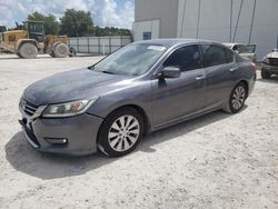 Honda Accord exl Vehiculos salvage en venta: 2013 Honda Accord EXL