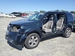 Honda salvage cars for sale: 2013 Honda Pilot EXL