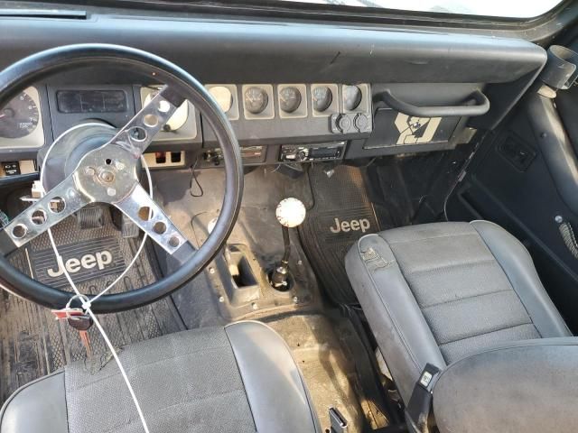 1994 Jeep Wrangler / YJ S