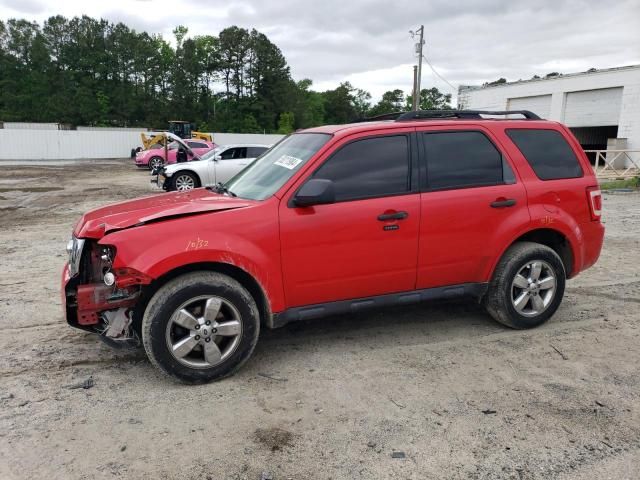 2009 Ford Escape XLT