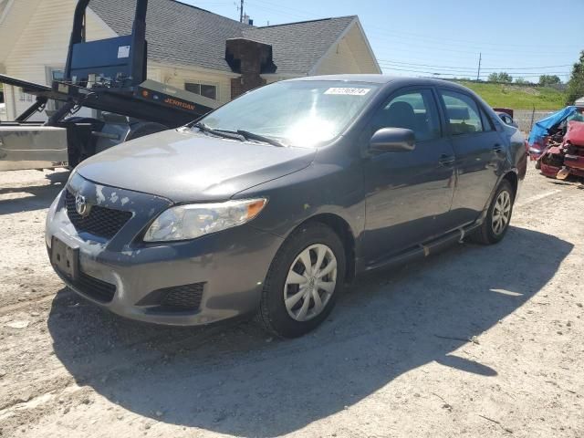 2009 Toyota Corolla Base