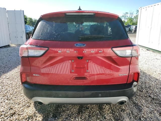 2021 Ford Escape SEL