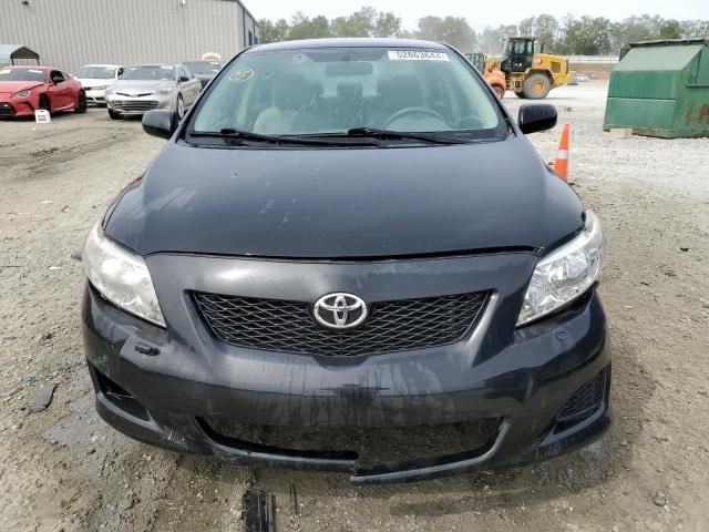 2010 Toyota Corolla Base