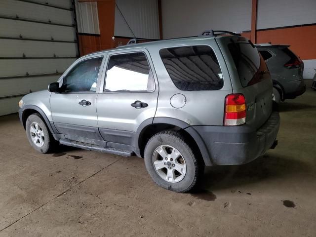 2006 Ford Escape XLT