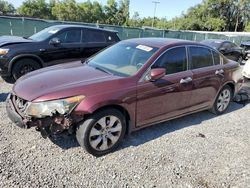 Salvage cars for sale from Copart Riverview, FL: 2008 Honda Accord EXL