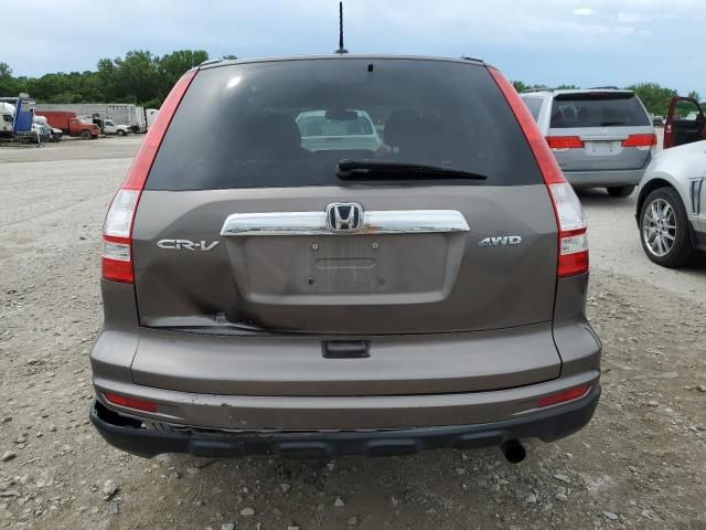 2010 Honda CR-V EXL