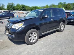 Lexus salvage cars for sale: 2010 Lexus GX 460