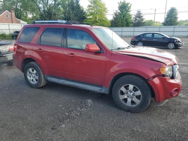 2010 Ford Escape Limited