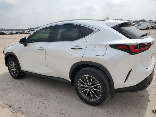 2024 Lexus NX 250 Premium