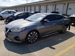 Nissan Maxima S salvage cars for sale: 2019 Nissan Maxima S