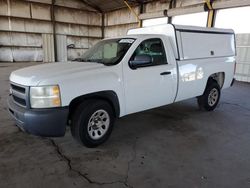 Chevrolet salvage cars for sale: 2010 Chevrolet Silverado C1500