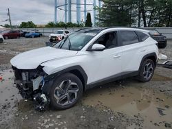 Hyundai salvage cars for sale: 2024 Hyundai Tucson SEL Convenience