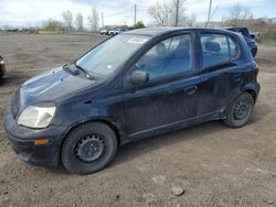 Toyota salvage cars for sale: 2005 Toyota Echo