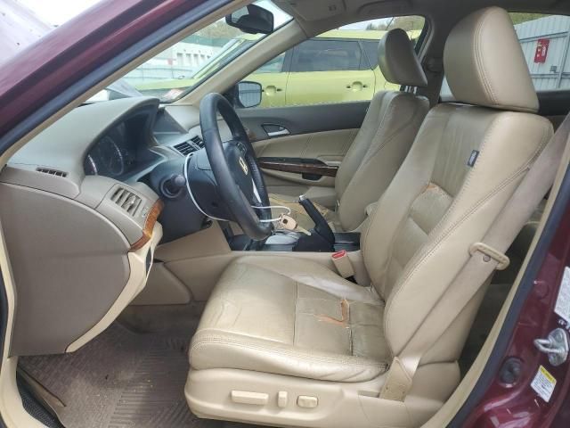 2008 Honda Accord EXL