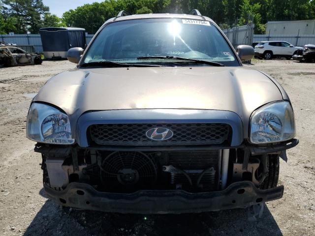 2006 Hyundai Santa FE GLS