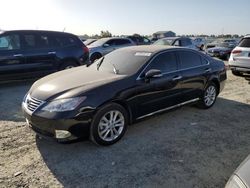 Lexus ES 350 salvage cars for sale: 2011 Lexus ES 350