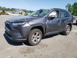 Toyota Rav4 LE salvage cars for sale: 2024 Toyota Rav4 LE