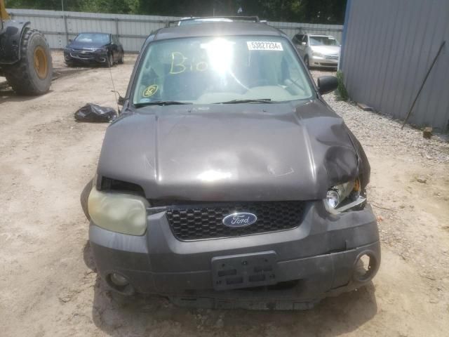 2006 Ford Escape XLT