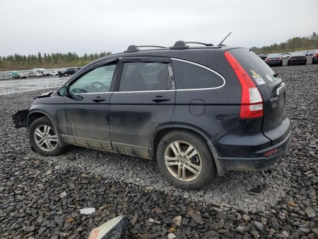 2010 Honda CR-V EXL