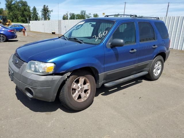 2007 Ford Escape XLT