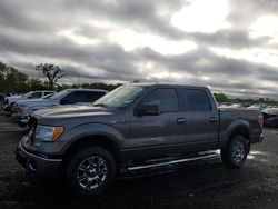 2010 Ford F150 Supercrew for sale in Des Moines, IA