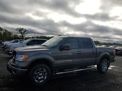 Ford salvage cars for sale: 2010 Ford F150 Supercrew