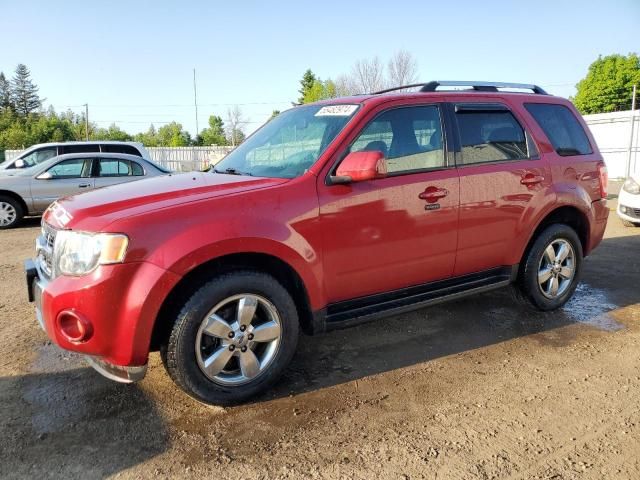 2010 Ford Escape Limited