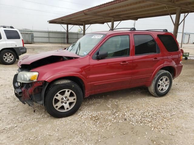 2005 Ford Escape Limited