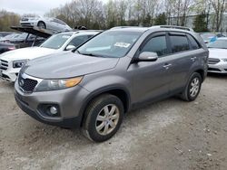 KIA Sorento salvage cars for sale: 2011 KIA Sorento Base